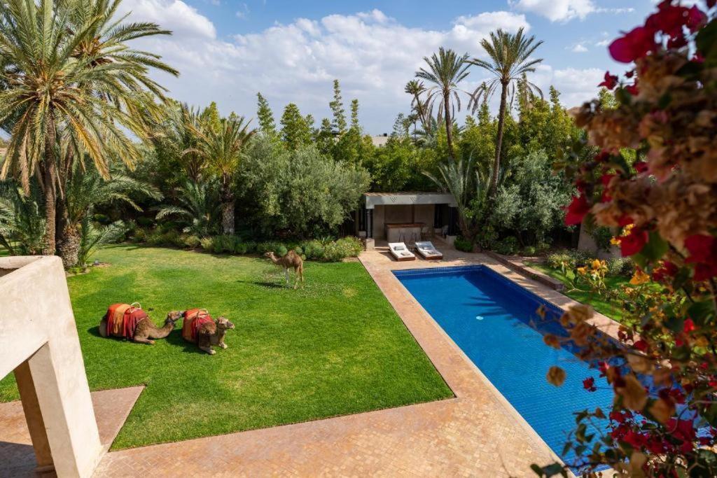 Villa Sahar Palmeraie Avec Piscine Chauffee ! Marrakesh Bagian luar foto